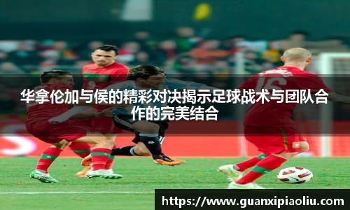 九游会·(j9)官方网站